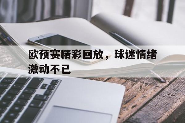 关于欧预赛精彩回放，球迷情绪激动不已的信息